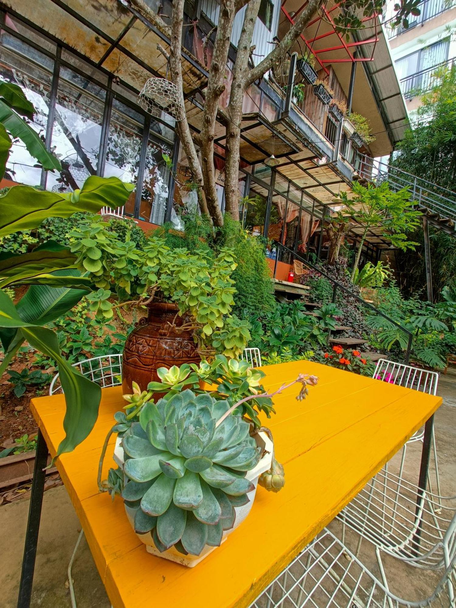 Lalaland Homestay Dalat Rom bilde